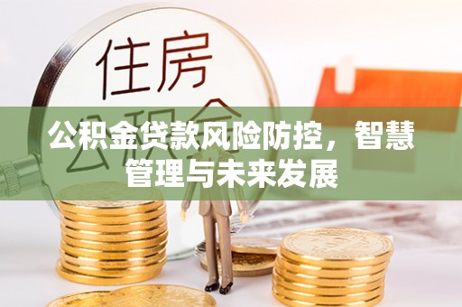 土默特右旗公积金贷款风险防控，智慧管理与未来发展