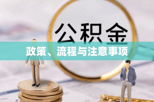 土默特右旗政策、流程与注意事项